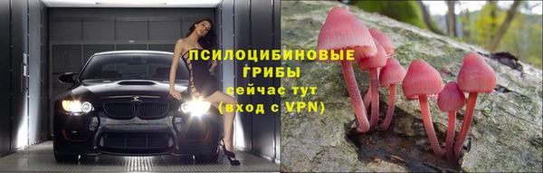 ГАЛЛЮЦИНОГЕННЫЕ ГРИБЫ Нея