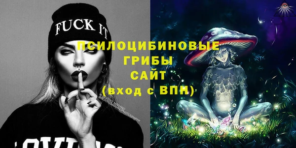 ГАЛЛЮЦИНОГЕННЫЕ ГРИБЫ Нея