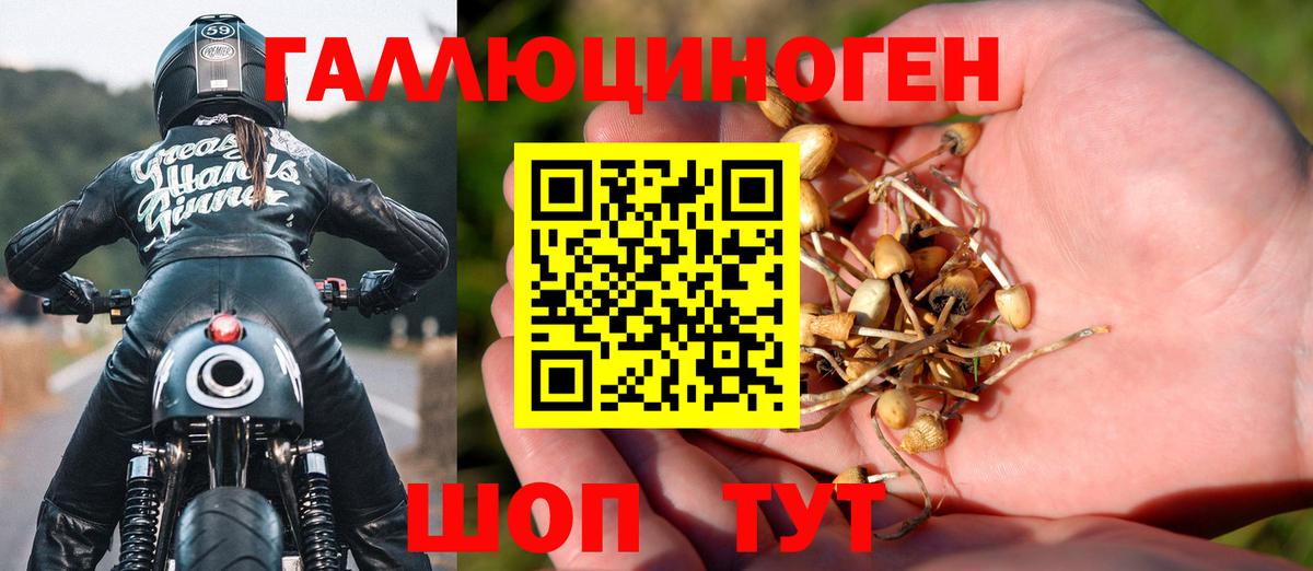Псилоцибиновые грибы Psilocybine cubensis  Вход с VPN  Новоуральск 