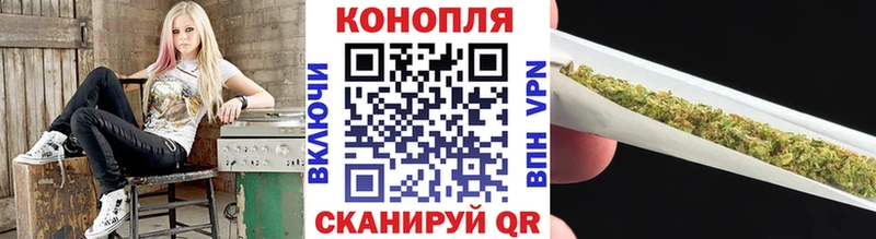 купить наркотик  Новоуральск  OMG маркетплейс  Бошки Шишки VHQ 