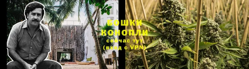 Бошки Шишки LSD WEED  Новоуральск 